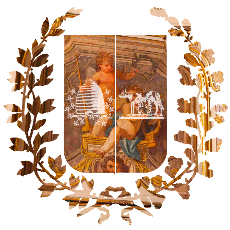 Maschera appartamenti del Cardinale Palazzo Sciarra Colonna - Fondazione Roma