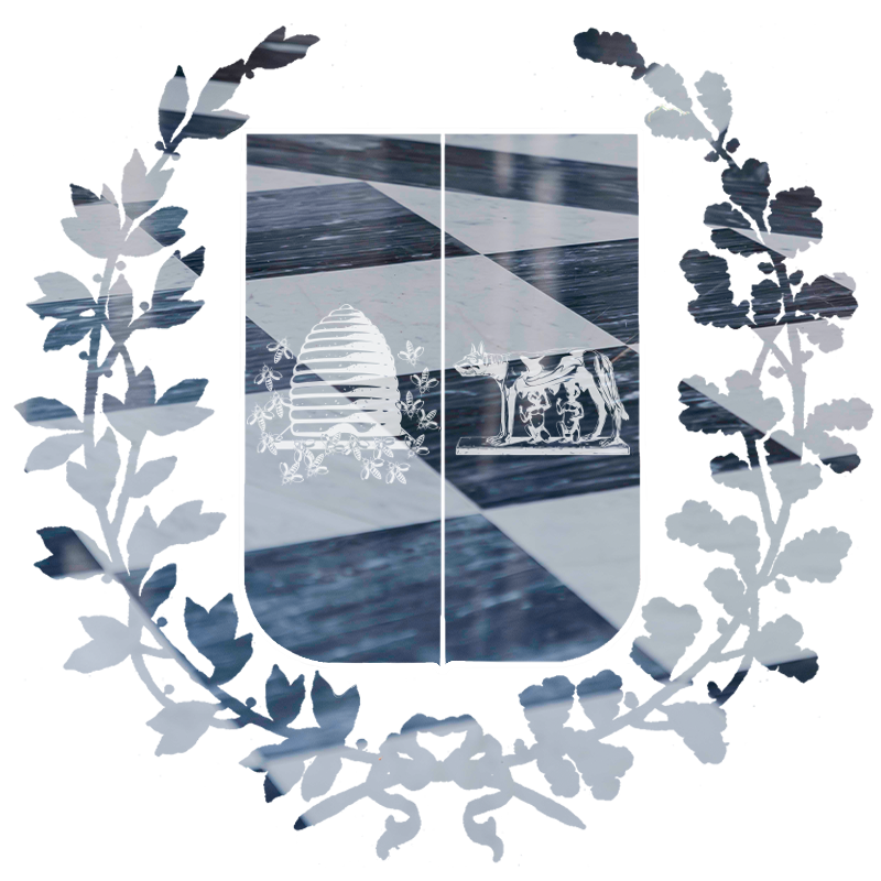 Maschera pavimento - Fondazione Roma