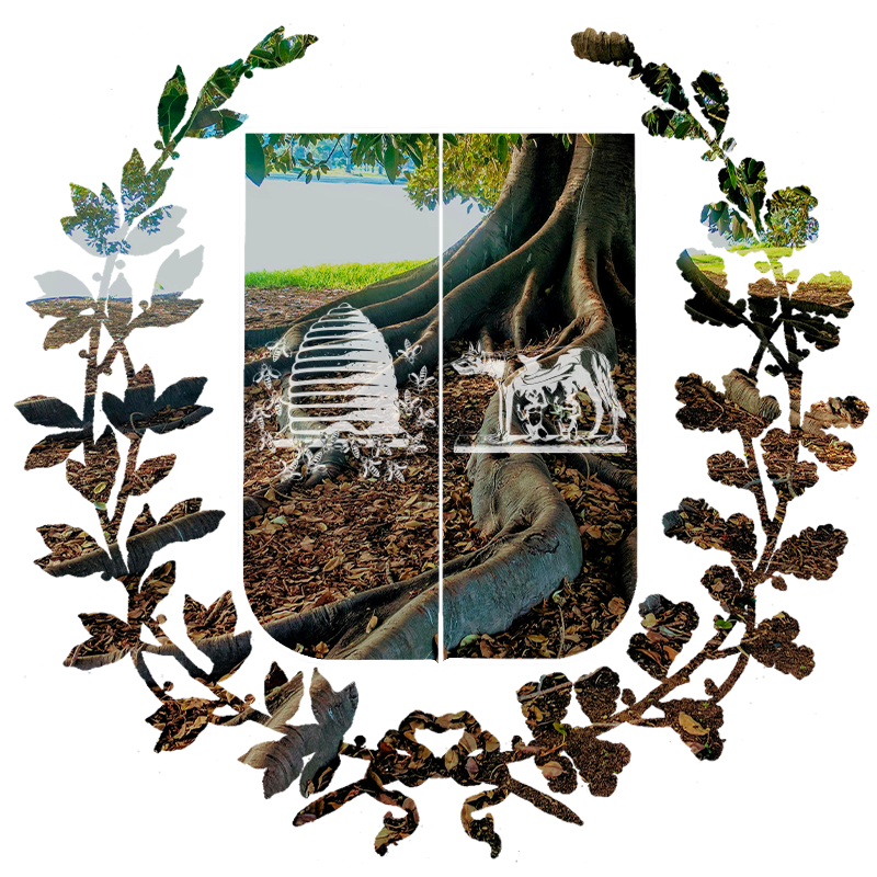 Mask roots - Fondazione Roma