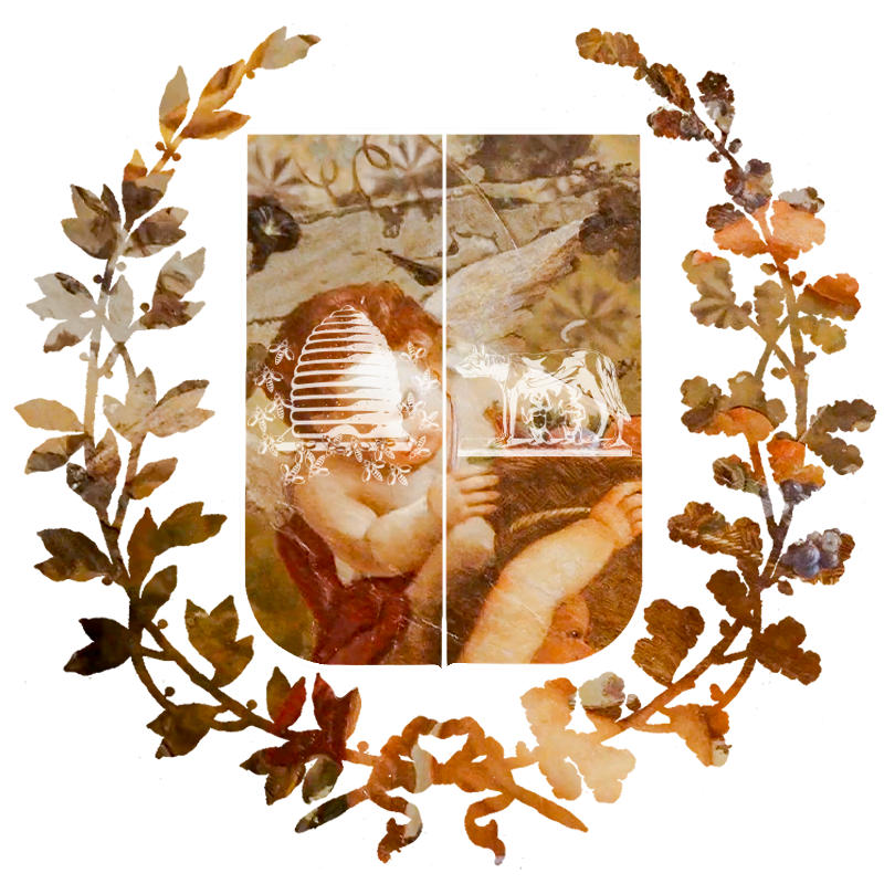 Maschera soffitto angeli - Fondazione Roma